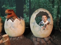 img20231206143828-kopiowanie-jpg1706818911